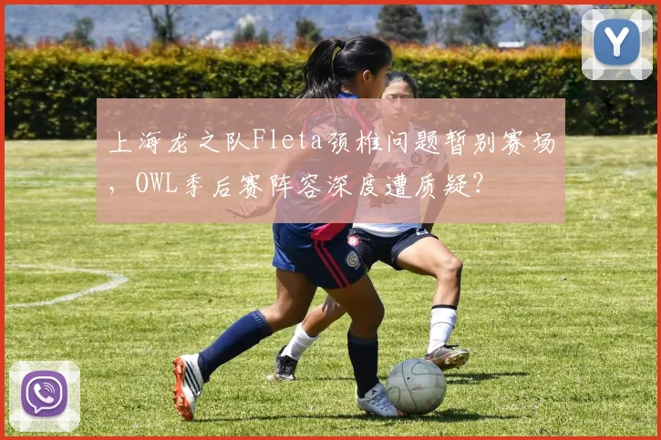 上海龙之队Fleta颈椎问题暂别赛场，OWL季后赛阵容深度遭质疑？